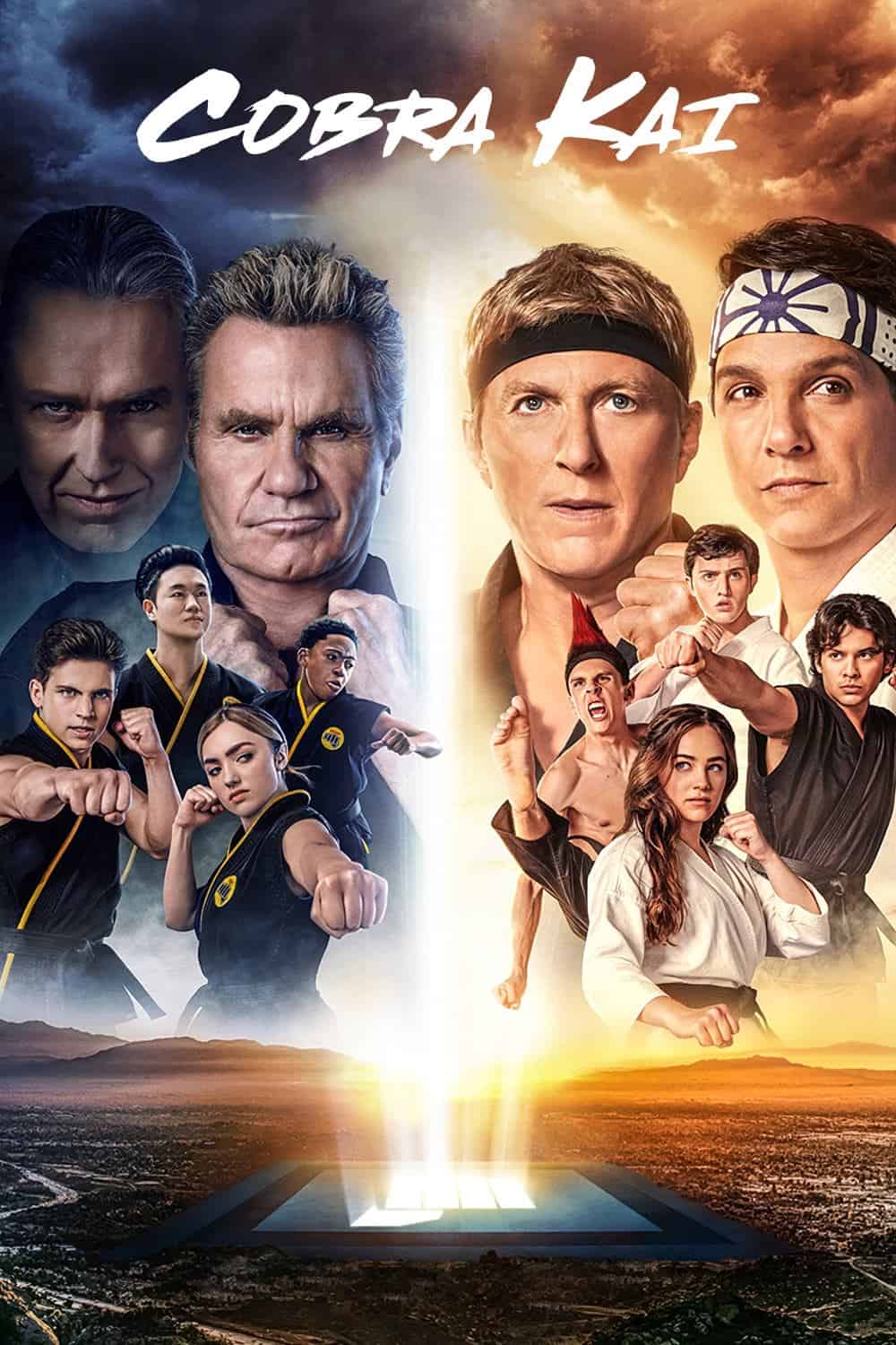 Cobra Kai ensemble poster featuring Johnny Lawrence, Daniel LaRusso, and the rival karate students from both dojos