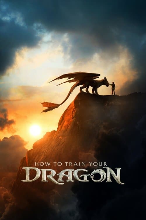 Silhouette of Hiccup touching the nose of the dragon Toothless on a cliff at sunset.